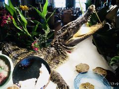 -鸿腾国际大酒店-海鲜姿造海鲜烤肉自助餐