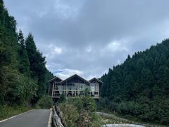 -武陵山森林公园