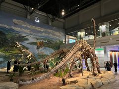 -自贡恐龙博物馆