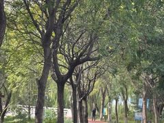 -大兴滨河森林公园