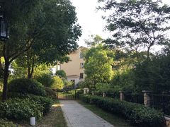 -上海崇明金茂凯悦酒店