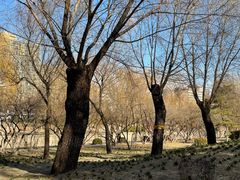 -元大都城垣遗址公园