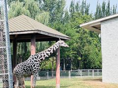 -石家庄市动物园