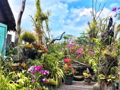 -自然餐厅(Phuket)
