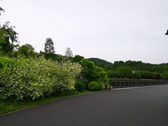 -东湖落雁景区