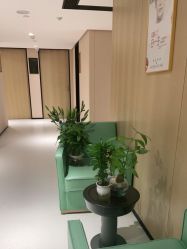 -广东韩妃整形外科医院
