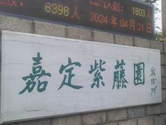 -嘉定紫藤园