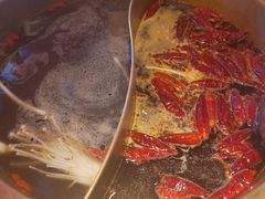 -小龙坎老火锅(北京三里屯店)