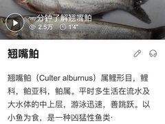 -丹江渔村(首都机场店)