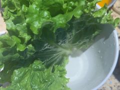 -安又胖韩国烤肉
