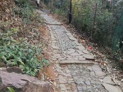 -雨花胜境