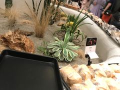 -OUR Bakery(SKP-S店)