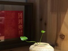 -石舍洒秀咖啡馆