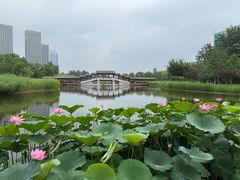 -西海子公园