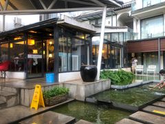 -大理老字号·舟渔的鱼野生菌海景餐厅(双廊店)