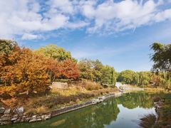 -大兴滨河森林公园