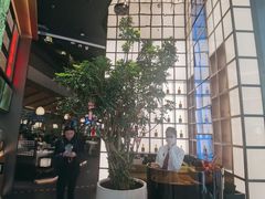 -桂满陇·海市蜃楼·黑金(国金店)