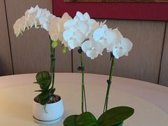 -蘇锦宴·淮扬菜烤鸭·小院(三元桥霄云路店)