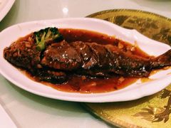 iphone_upload_pic-金泽大酒店·卢塞恩餐厅·年夜饭春节连市