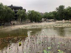 -西安市长乐公园