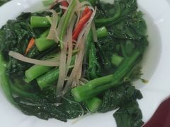 -新合益乡村农庄