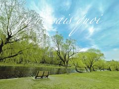 -上海共青森林公园