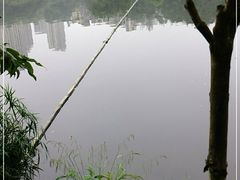 -重庆彩云湖湿地公园