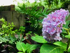 -三圣花乡旅游区