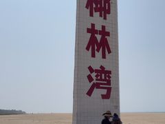-东郊椰林