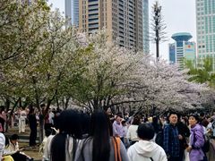 -西北湖绿化广场