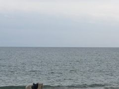 -三亚海棠湾万丽度假酒店