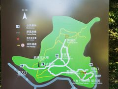 -上海佘山国家森林公园天马山园