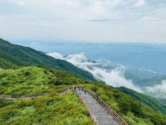 -大围山国家森林公园