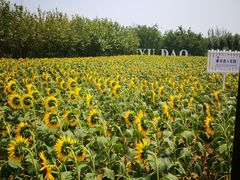 -渔岛海洋度假区