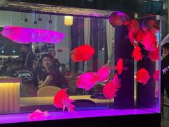 -五丁桥光头香辣蟹(望江橡树林店)