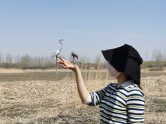 -蒲河岛湿地公园