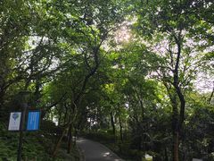 -广州雕塑公园