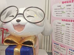 -喜多萌中农锦绣动物医院24H·猫科·牙科MRI·CT