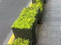 -上海外滩雅致酒店