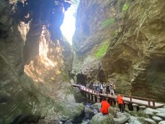 -牛背梁国家森林公园