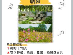 -北京张裕爱斐堡酒庄