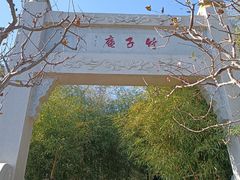 -竹子庵公园