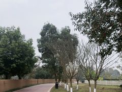 -蜀水别园(青杠树店)