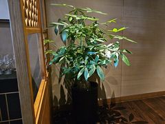 -五缘湾凯悦酒店·悦饗中餐厅