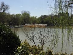 -紫竹院公园冰场