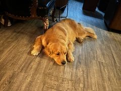 -后院儿·精酿·塔罗Happy Bar