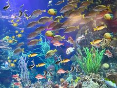 -北戴河圣蓝海洋公园