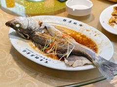 -百年银屏·蚝烙专门店(乐山店)