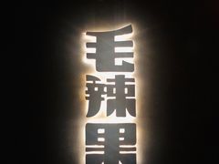 -毛辣果·酸