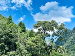 -娄山关景区